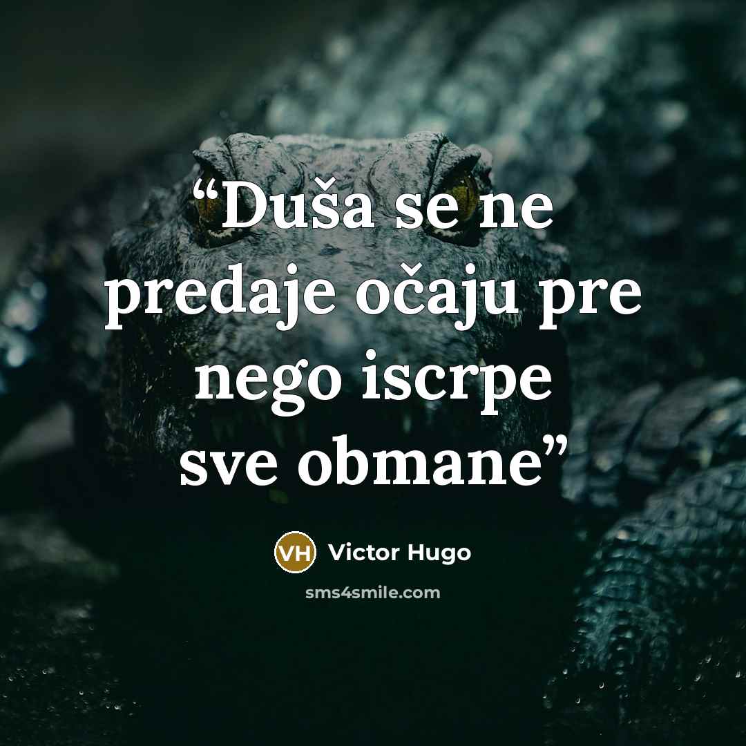 “Duša se ne predaje očaju pre nego iscrpe sve obmane” quote by Victor Hugo