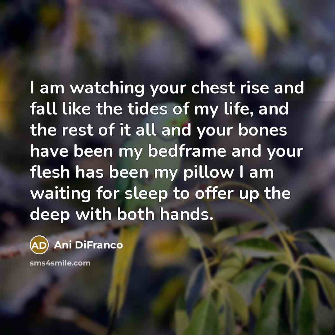“I am watching your chest rise and fall like the…” quote by Ani Difranco