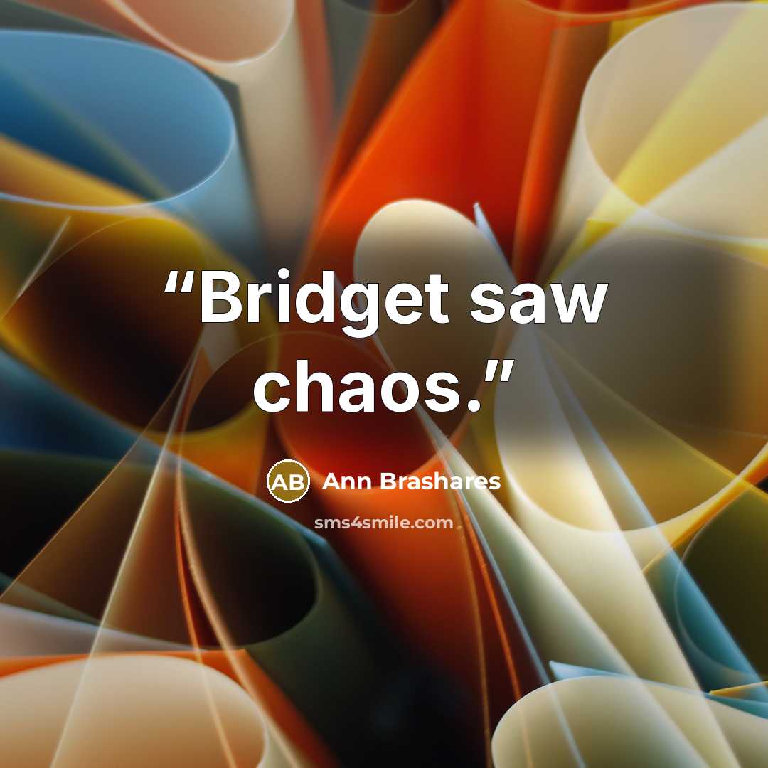 “Bridget saw chaos.” quote by Ann Brashares