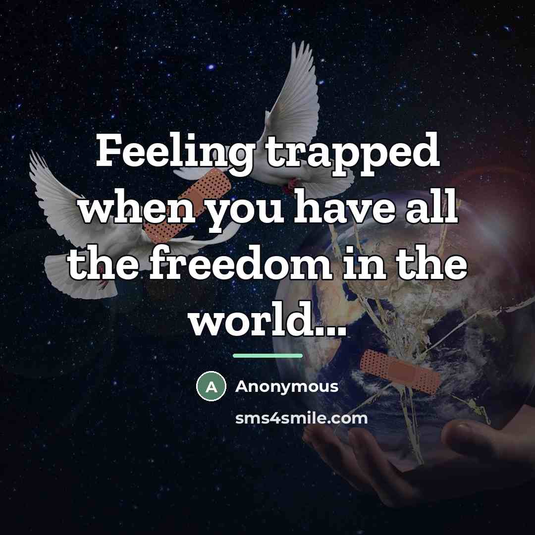 “Feeling trapped when you have all the freedom in the…” quote by Anonymous