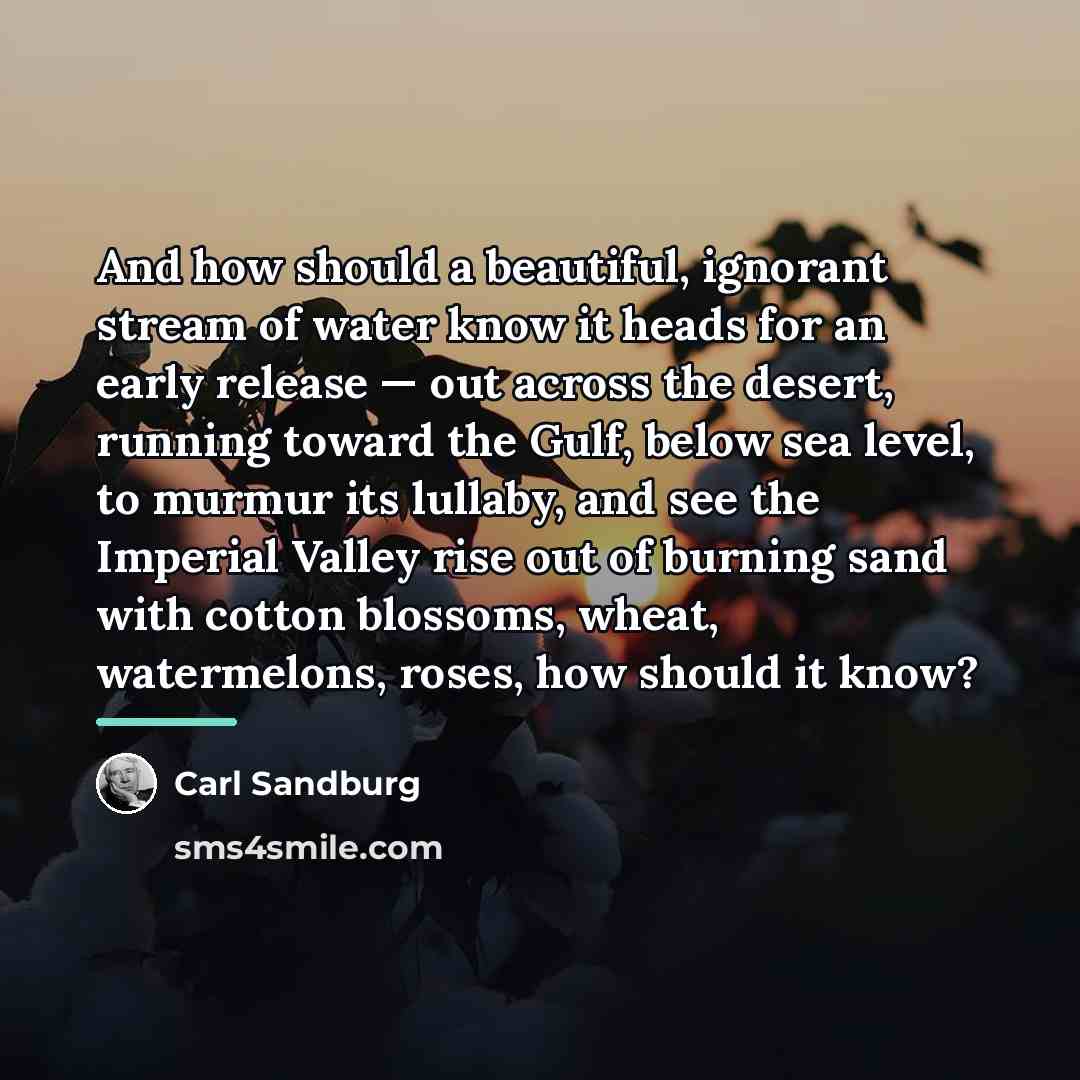 “And how should a beautiful, ignorant stream of water know…” quote by Carl Sandburg