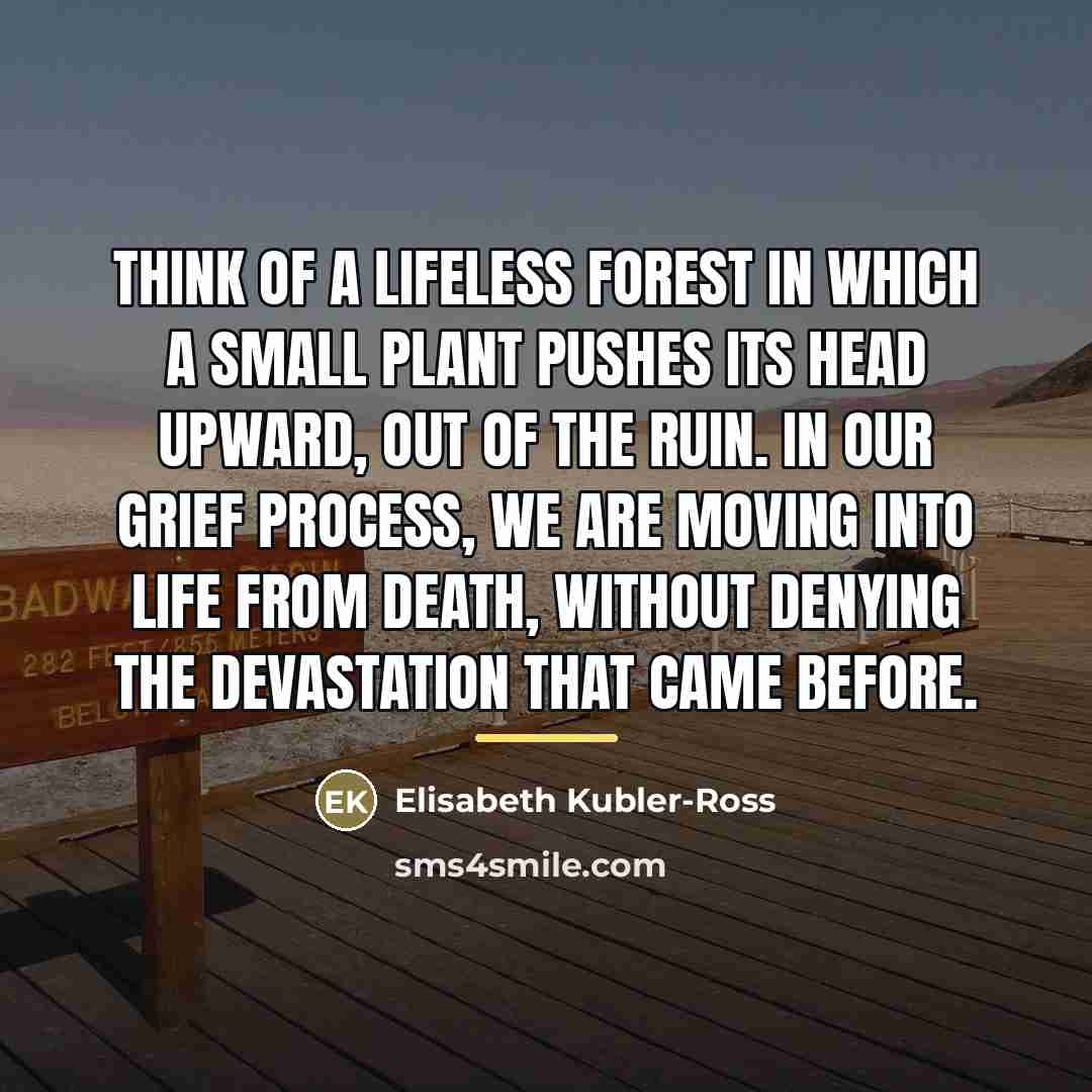 “Think of a lifeless forest in which a small plant…” quote by Elisabeth Kubler-Ross