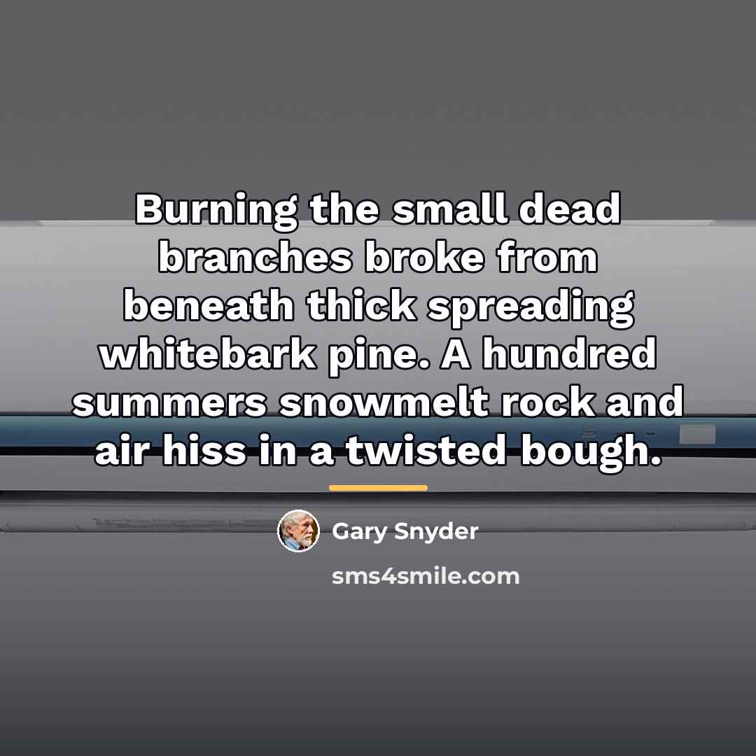 “Burning the small dead branches broke from beneath thick spreading…” quote by Gary Snyder