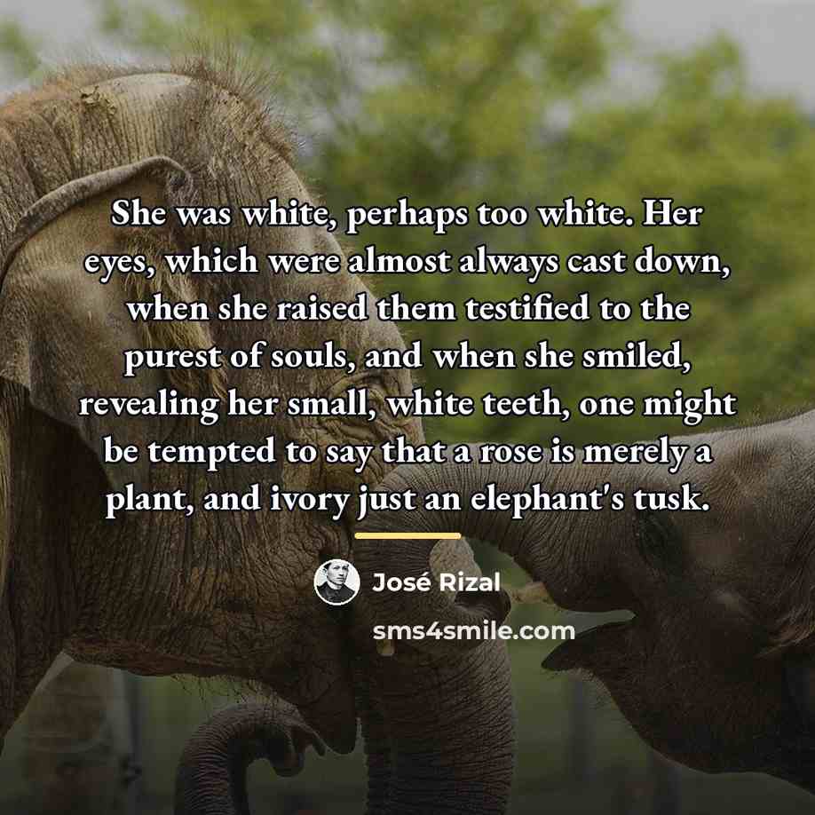 “She was white, perhaps too white. Her eyes, which were…” quote by Jose Rizal
