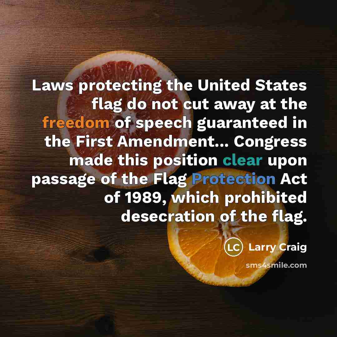 “Laws protecting the United States flag do not cut away…” quote by Larry Craig