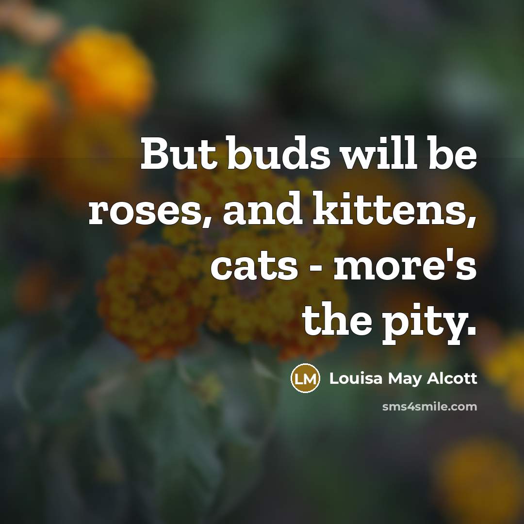 “But buds will be roses, and kittens, cats - more's…” quote by Louisa May Alcott