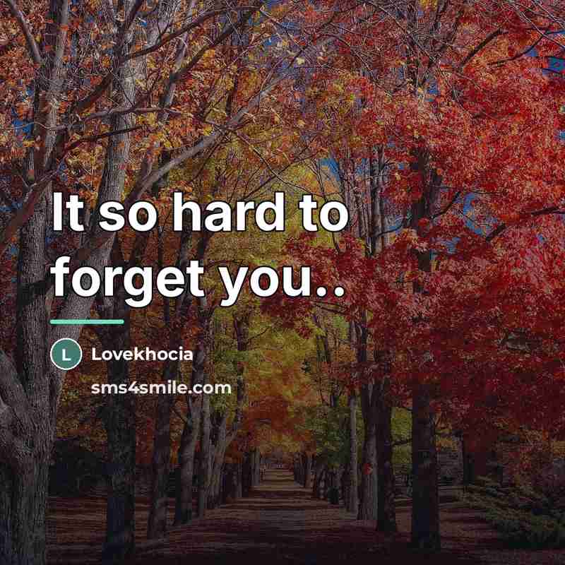 “It so hard to forget you..…” quote by Lovekhocia