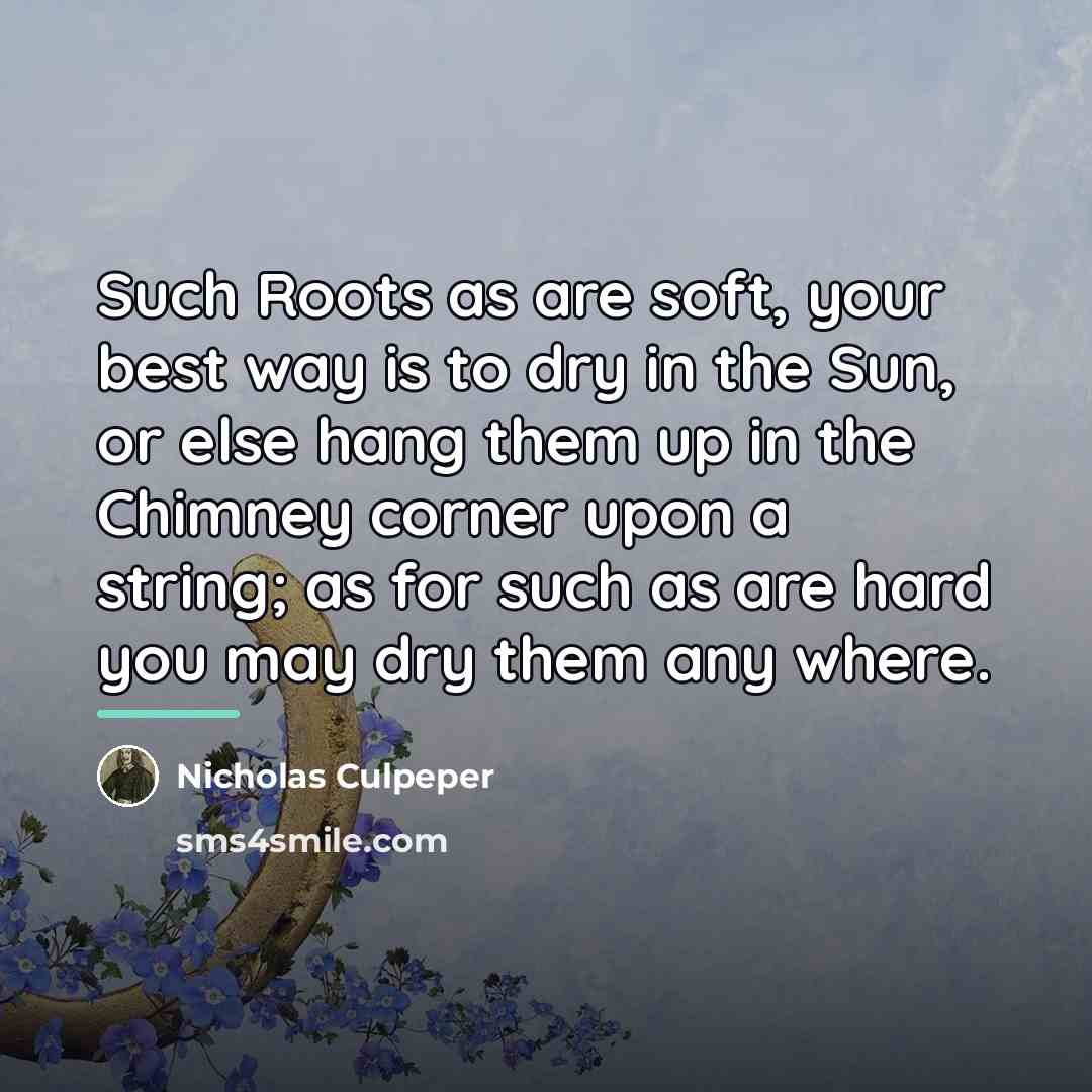 “Such Roots as are soft, your best way is to…” quote by Nicholas Culpeper