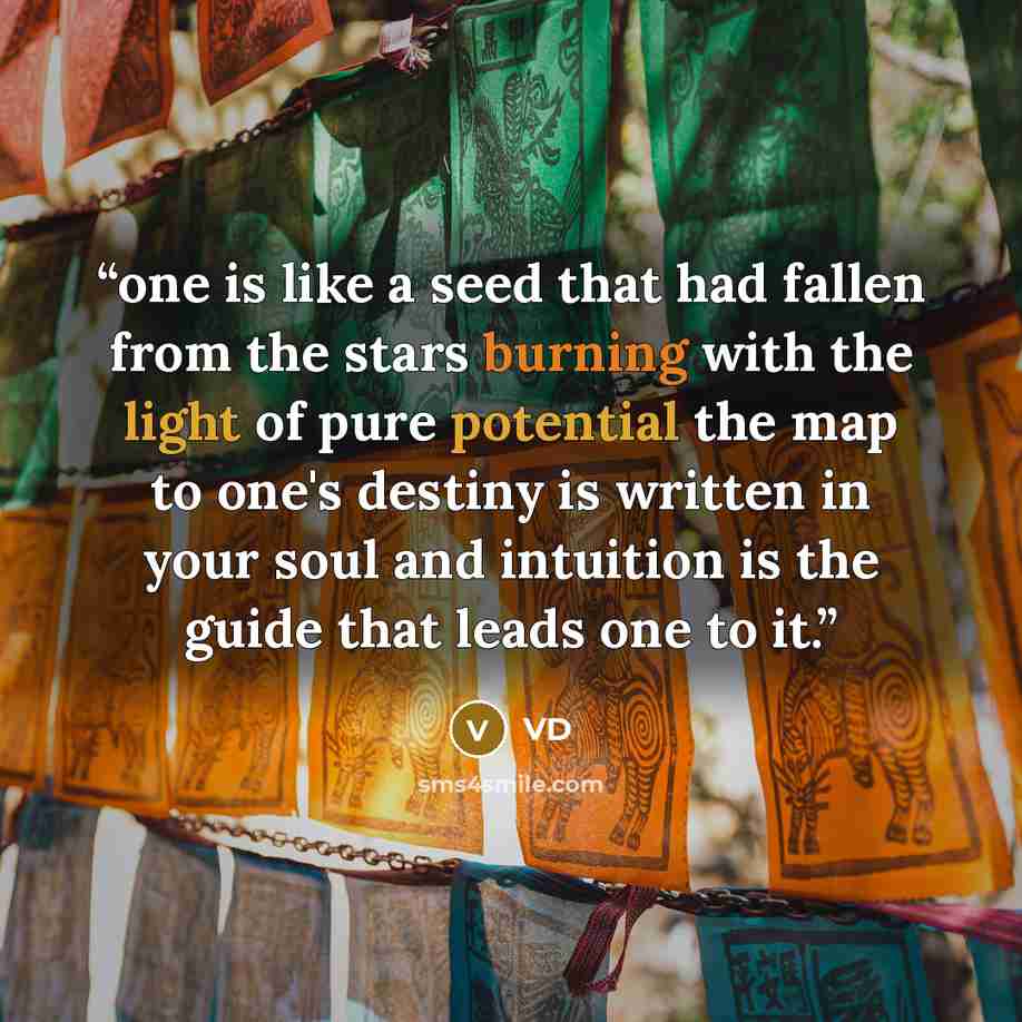 “one is like a seed that had fallen from the stars burning with the light of pure potential the map to one's destiny is written in your soul and intuition is the guide that leads one to it.” quote by VD
