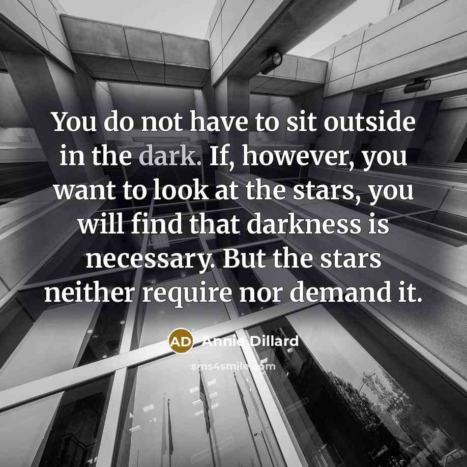 “You do not have to sit outside in the dark.…” quote by Annie Dillard