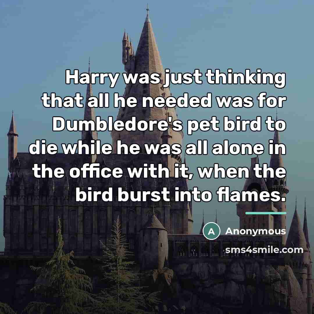 “Harry was just thinking that all he needed was for…” quote by Anonymous
