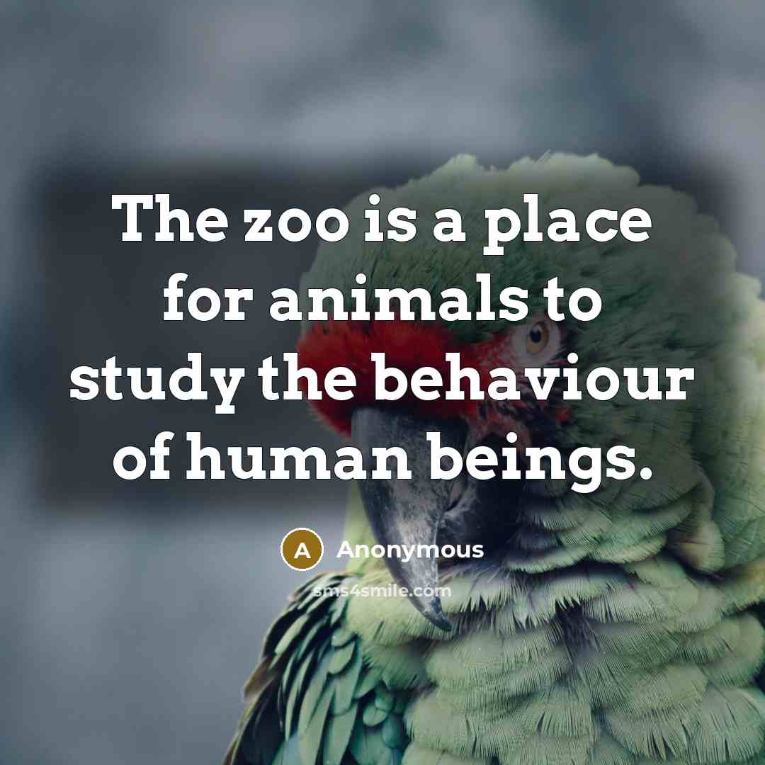 “The zoo is a place for animals to study the behaviour of human beings.” quote by Anonymous