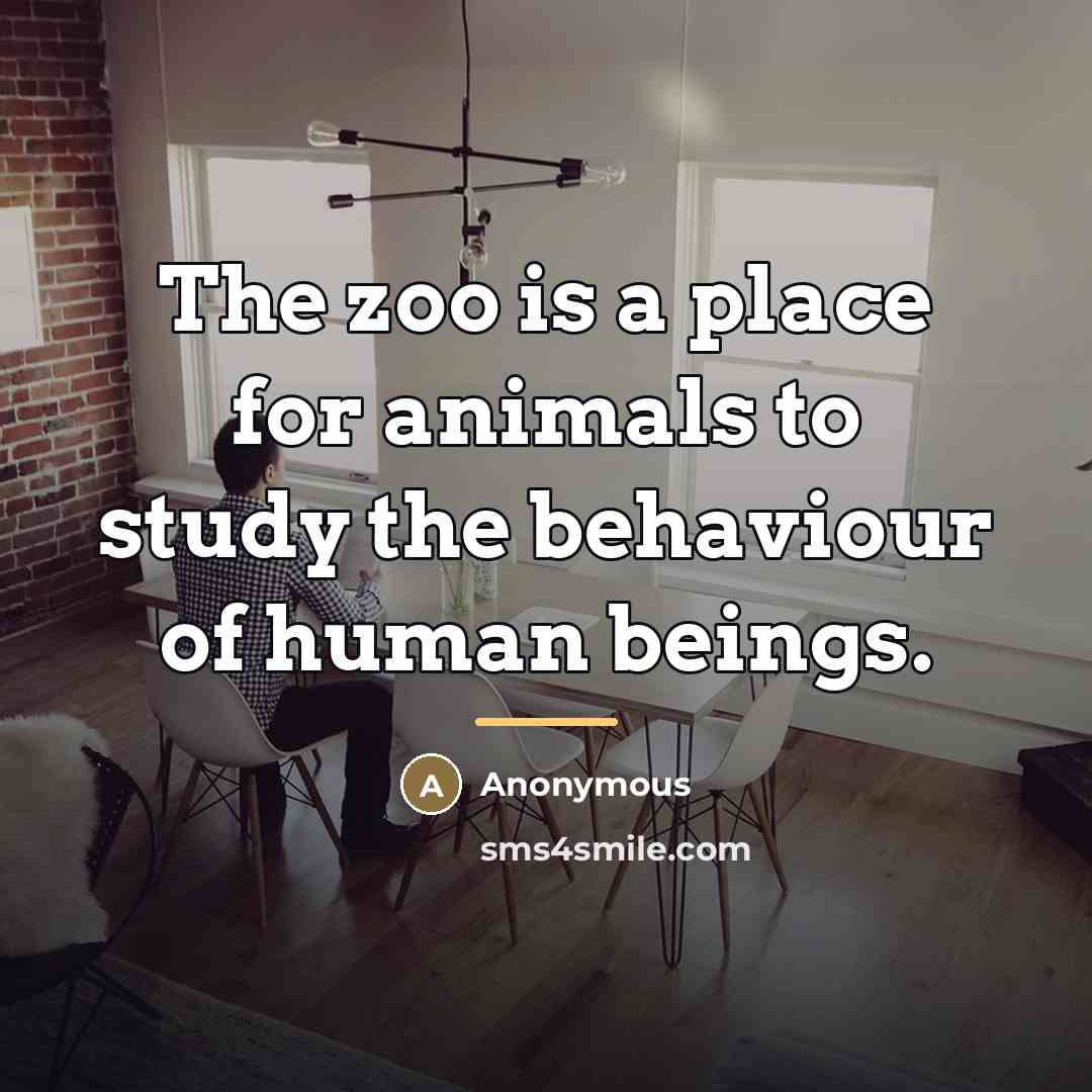 “The zoo is a place for animals to study the…” quote by Anonymous