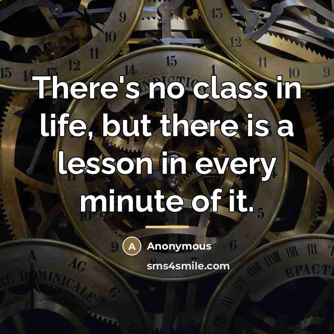 “There's no class in life, but there is a lesson…” quote by Anonymous