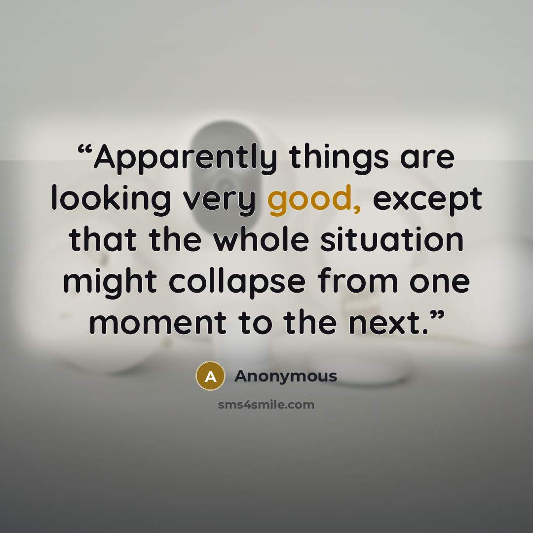 “Apparently things are looking very good, except that the whole situation might collapse from one moment to the next.” quote by Anonymous