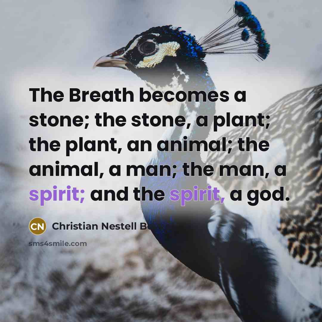 “The Breath becomes a stone; the stone, a plant; the…” quote by Christian Nestell Bovee
