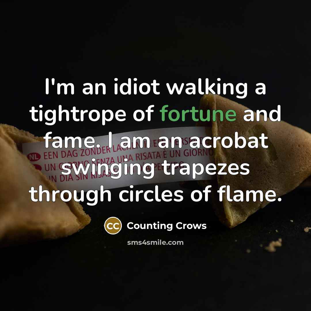 “I'm an idiot walking a tightrope of fortune and fame.…” quote by Counting Crows