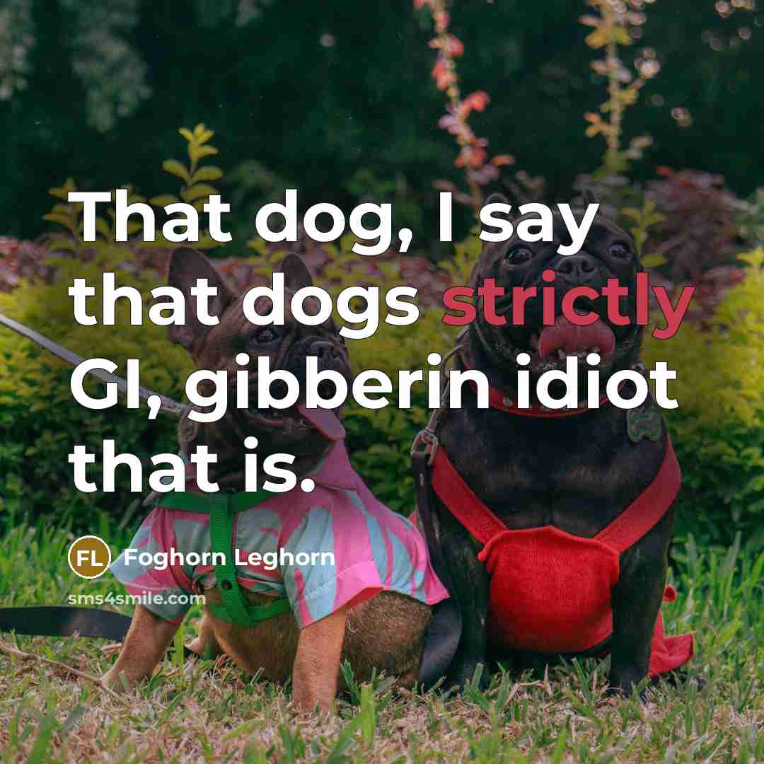 “That dog, I say that dogs strictly GI, gibberin idiot that is.” quote by Foghorn Leghorn