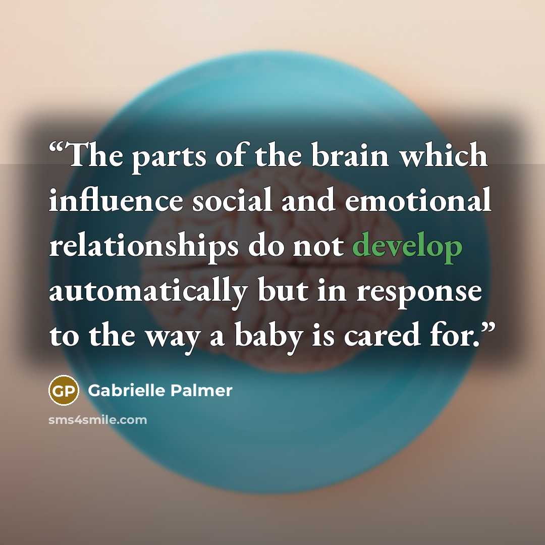 “The parts of the brain which influence social and emotional relationships do not develop automatically but in response to the way a baby is cared for.” quote by Gabrielle Palmer