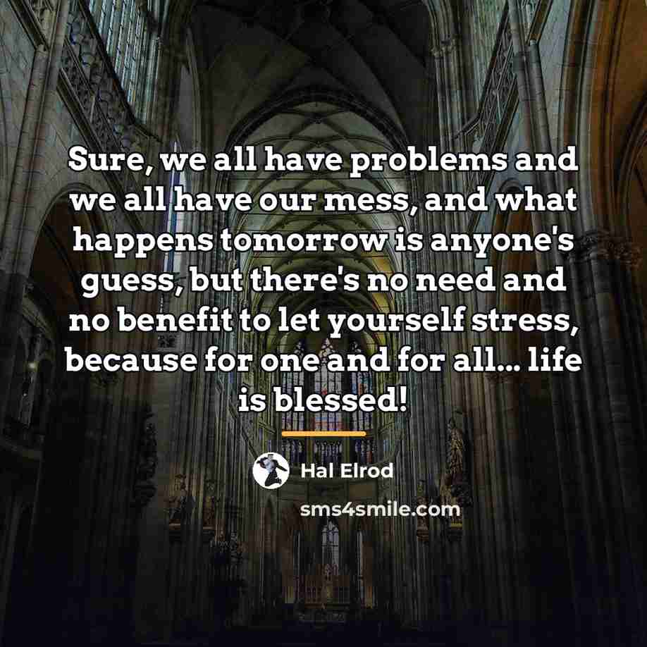 “Sure, we all have problems and we all have our…” quote by Hal Elrod