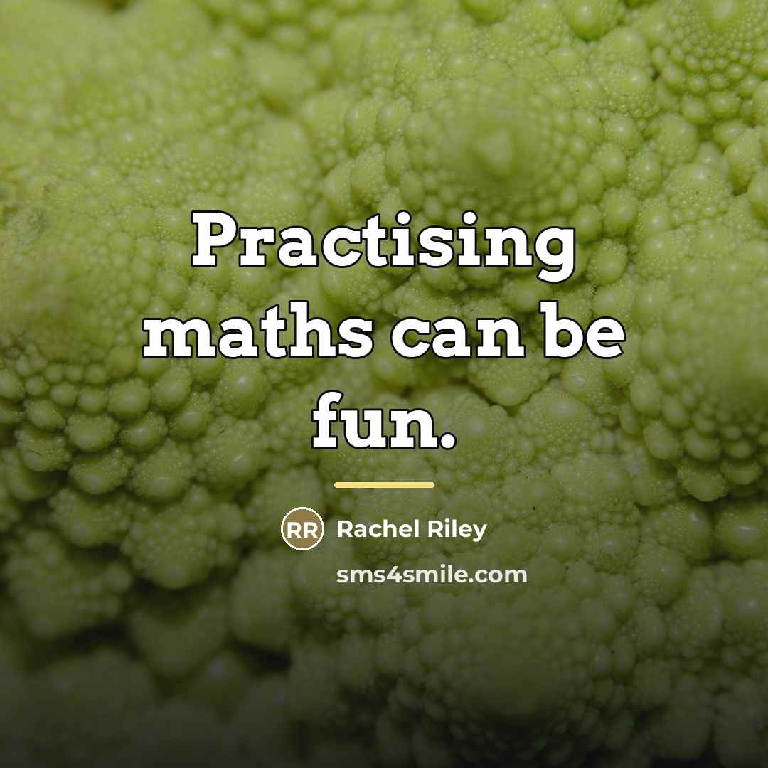 “Practising maths can be fun.…” quote by Rachel Riley