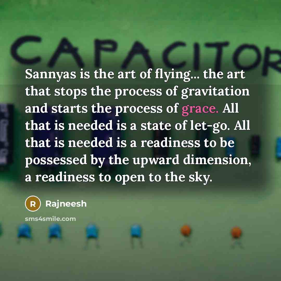 “Sannyas is the art of flying... the art that stops…” quote by Rajneesh
