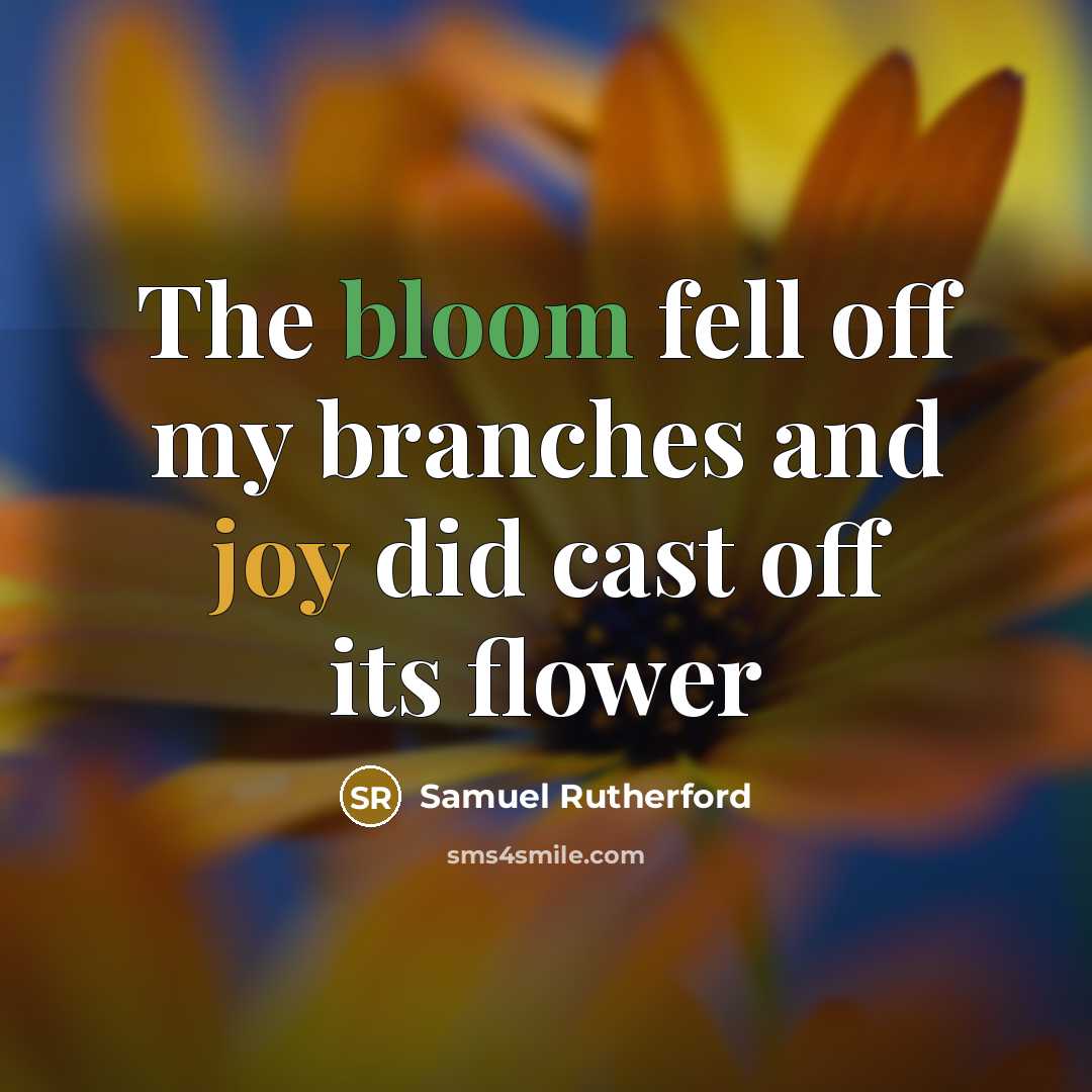 “The bloom fell off my branches and joy did cast off its flower” quote by Samuel Rutherford