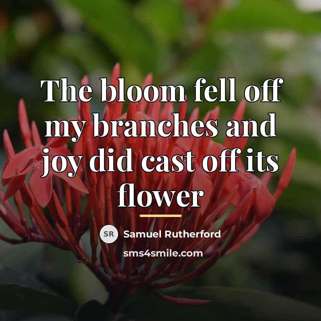“The bloom fell off my branches and joy did cast…” quote by Samuel Rutherford