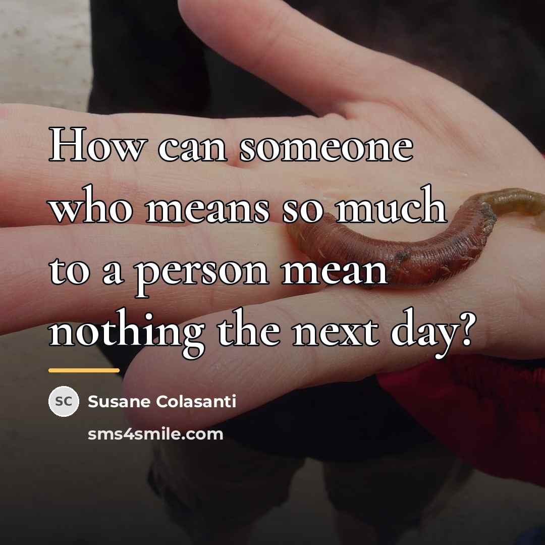 “How can someone who means so much to a person…” quote by Susane Colasanti