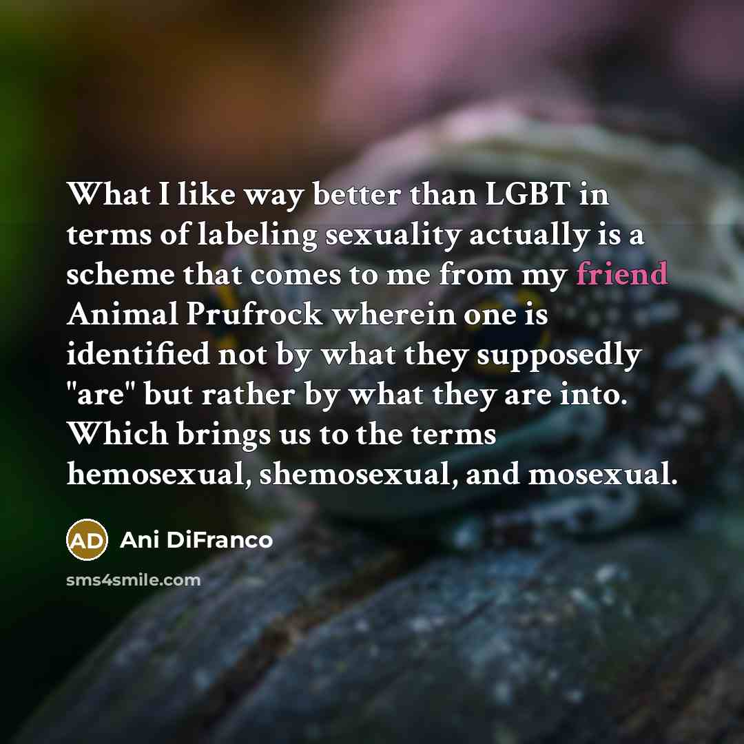 “What I like way better than LGBT in terms of…” quote by Ani DiFranco