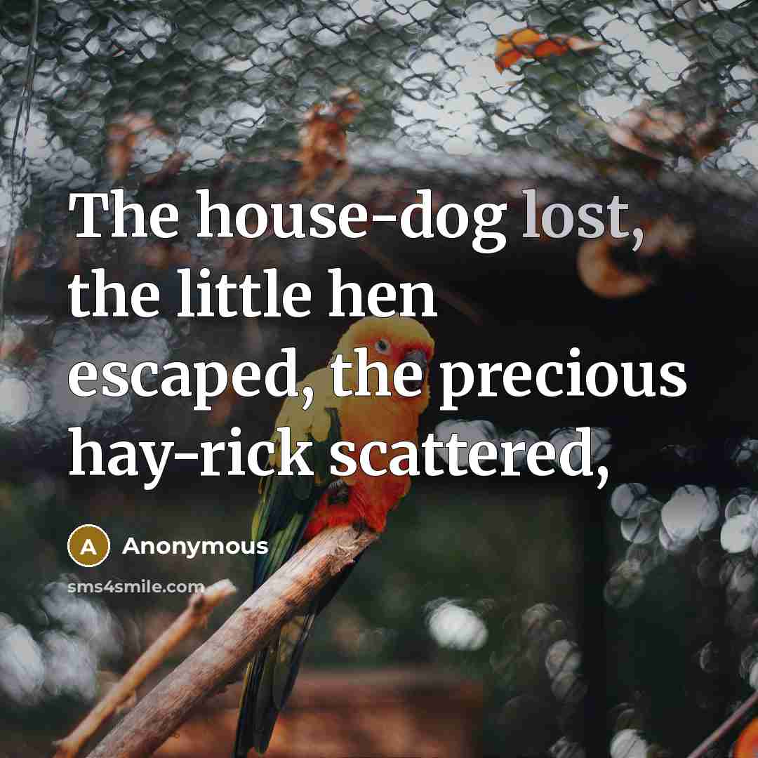 “The house-dog lost, the little hen escaped, the precious hay-rick scattered,” quote by Anonymous