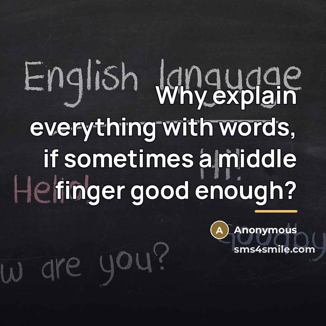 “Why explain everything with words, if sometimes a middle finger…” quote by Anonymous