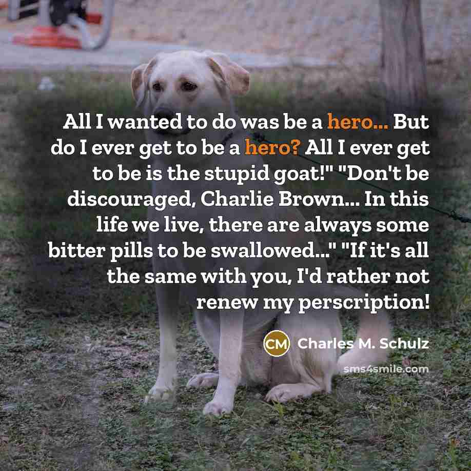 “All I wanted to do was be a hero... But…” quote by Charles M. Schulz