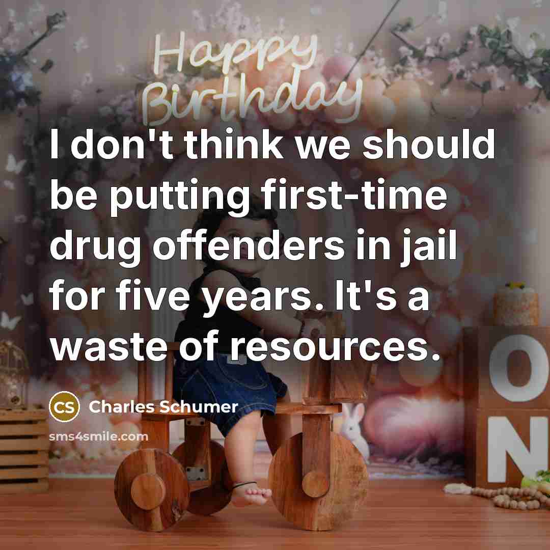 “I don't think we should be putting first-time drug offenders…” quote by Charles Schumer
