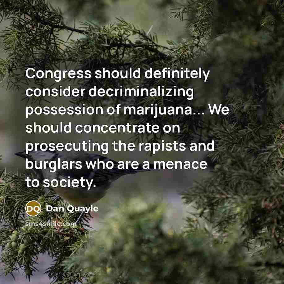 “Congress should definitely consider decriminalizing possession of marijuana... We should…” quote by Dan Quayle