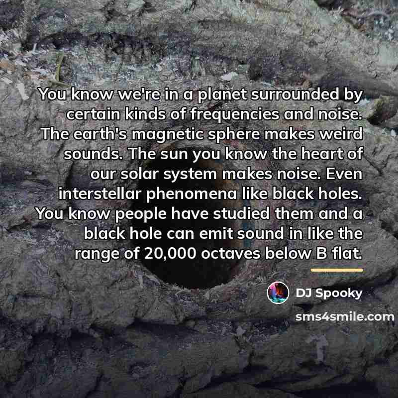 “You know we're in a planet surrounded by certain kinds…” quote by DJ Spooky