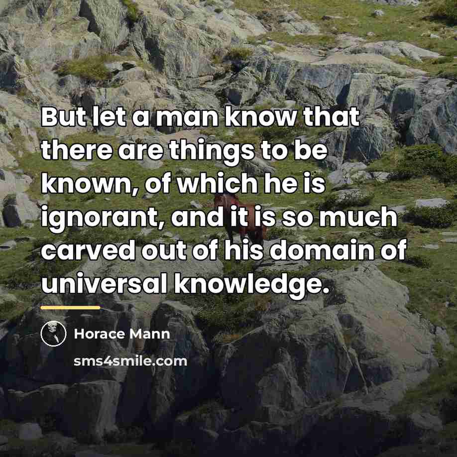 “But let a man know that there are things to…” quote by Horace Mann