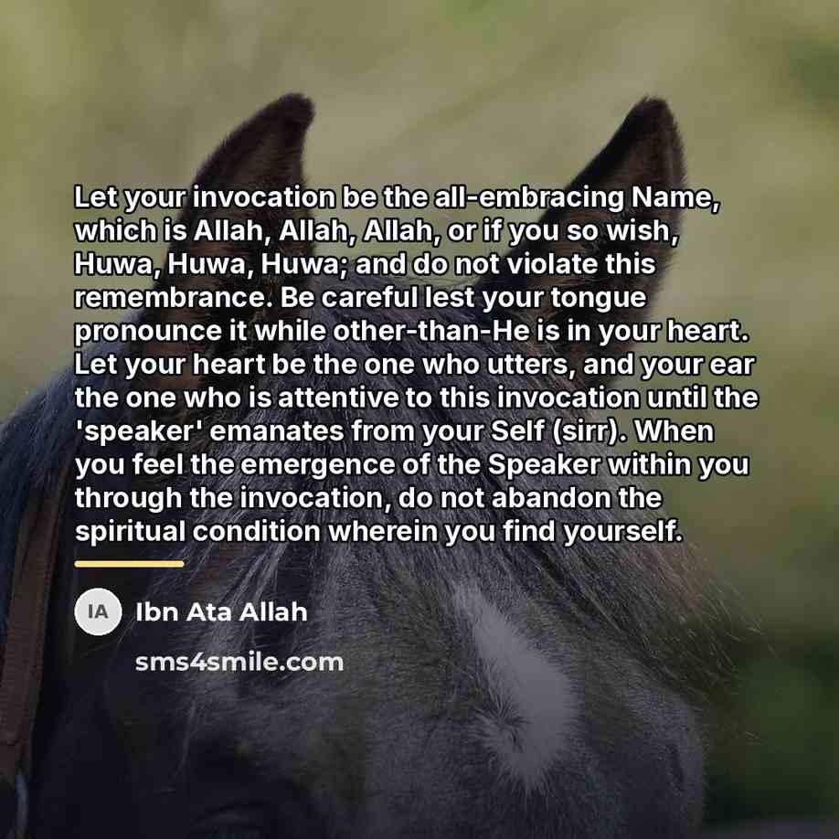 “Let your invocation be the all-embracing Name, which is Allah,…” quote by Ibn Ata Allah
