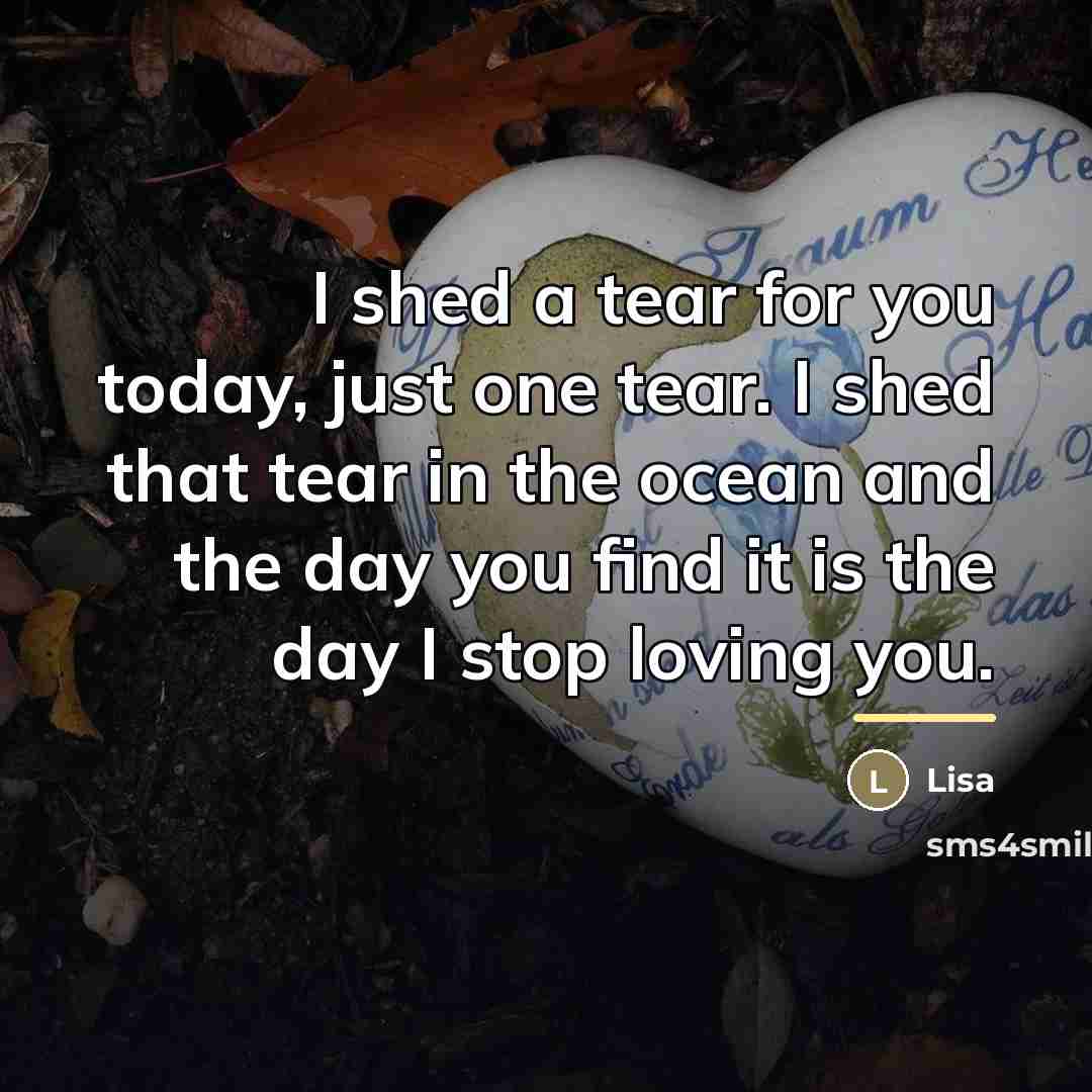 “I shed a tear for you today, just one tear.…” quote by Lisa