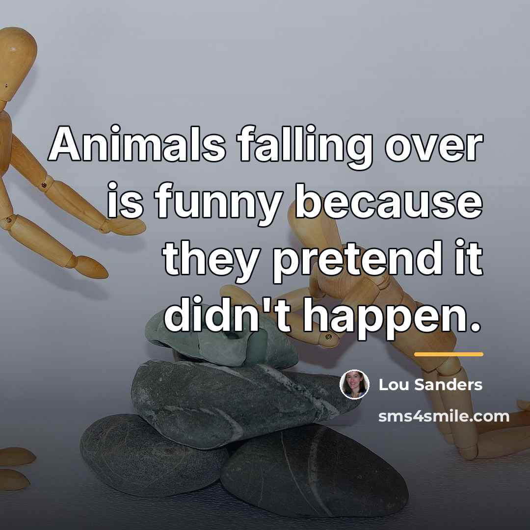 “Animals falling over is funny because they pretend it didn't…” quote by Lou Sanders
