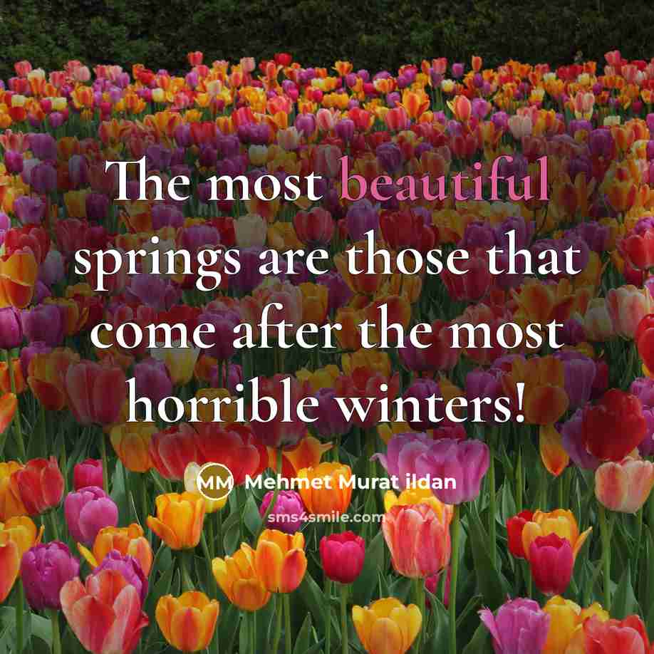“The most beautiful springs are those that come after the…” quote by Mehmet Murat Ildan
