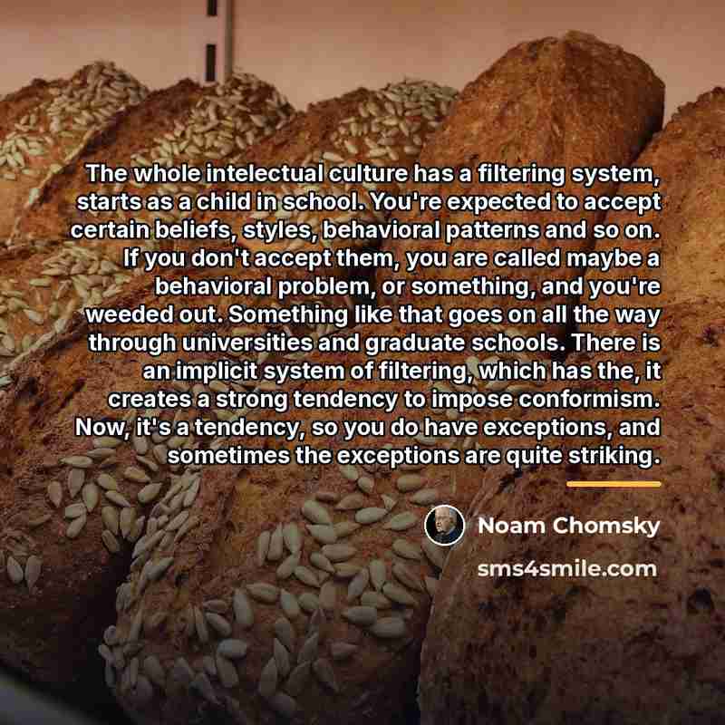 “The whole intelectual culture has a filtering system, starts as…” quote by Noam Chomsky