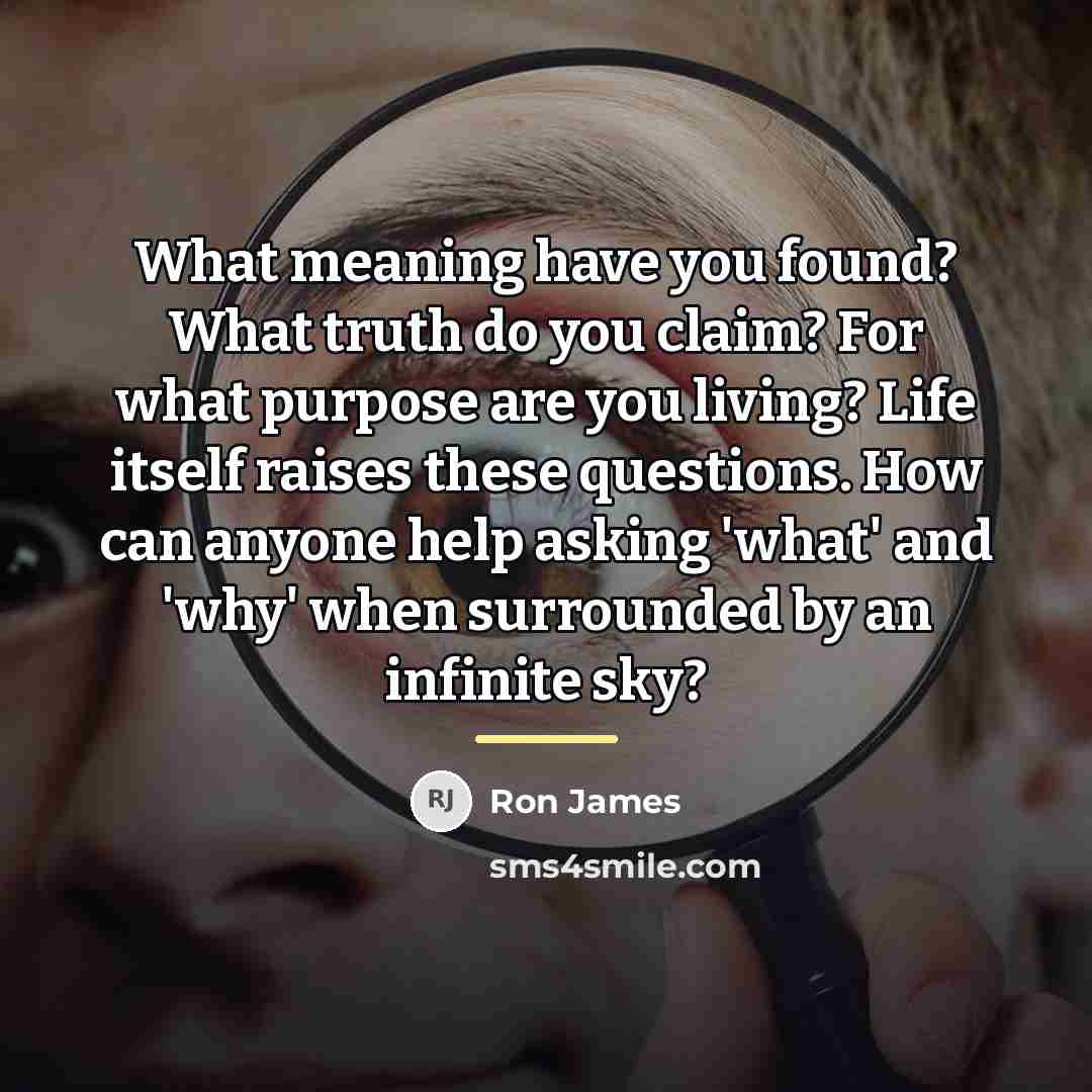 “What meaning have you found? What truth do you claim?…” quote by Ron James