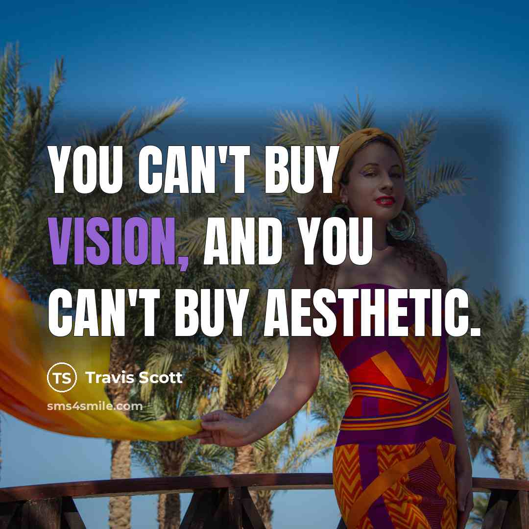 “You can't buy vision, and you can't buy aesthetic.…” quote by Travis Scott