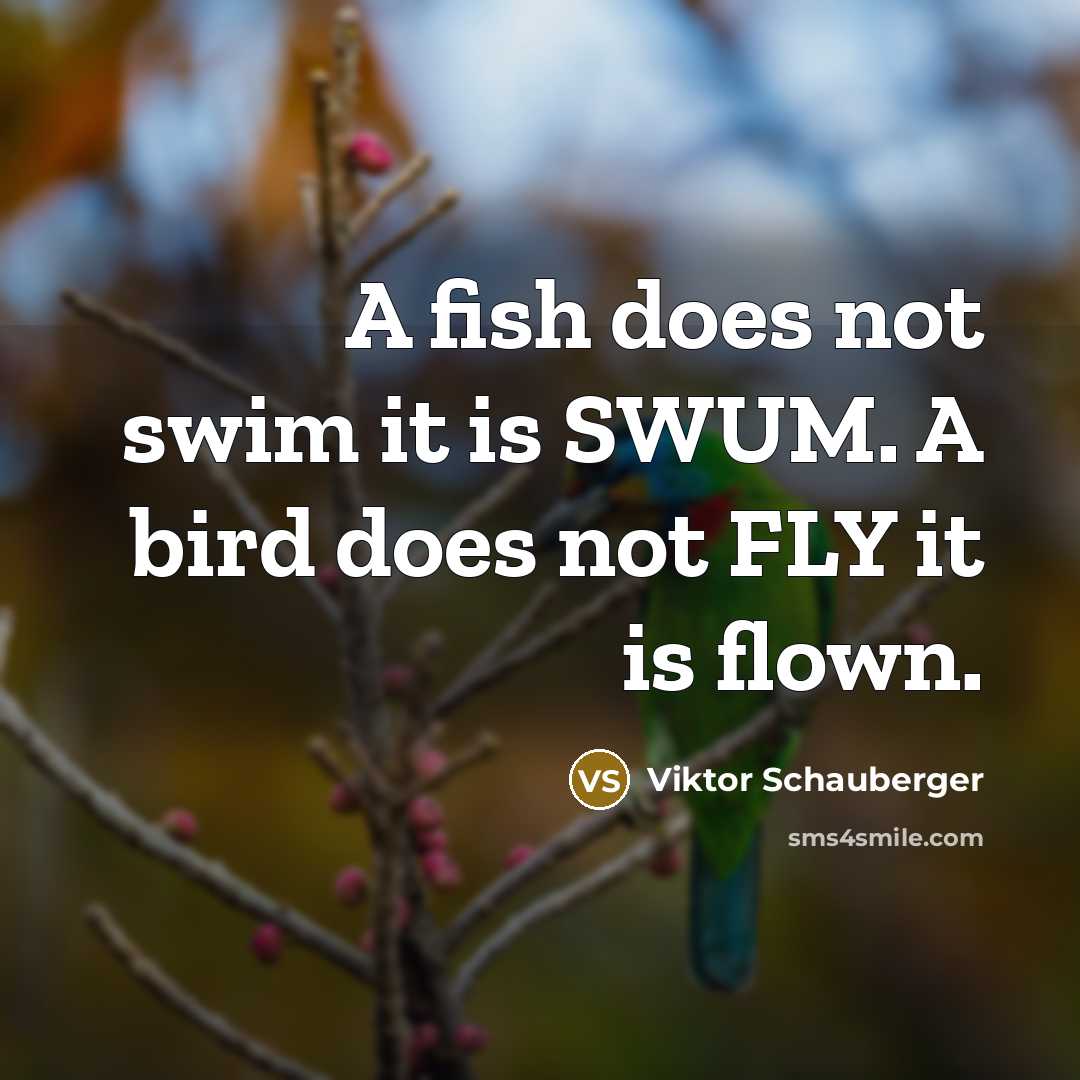 “A fish does not swim it is SWUM. A bird…” quote by Viktor Schauberger