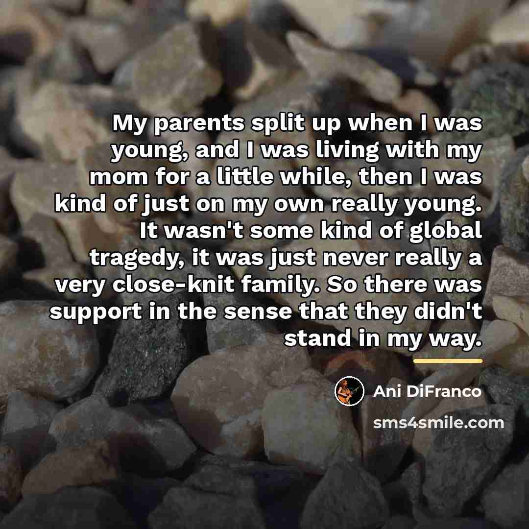 “My parents split up when I was young, and I…” quote by Ani DiFranco