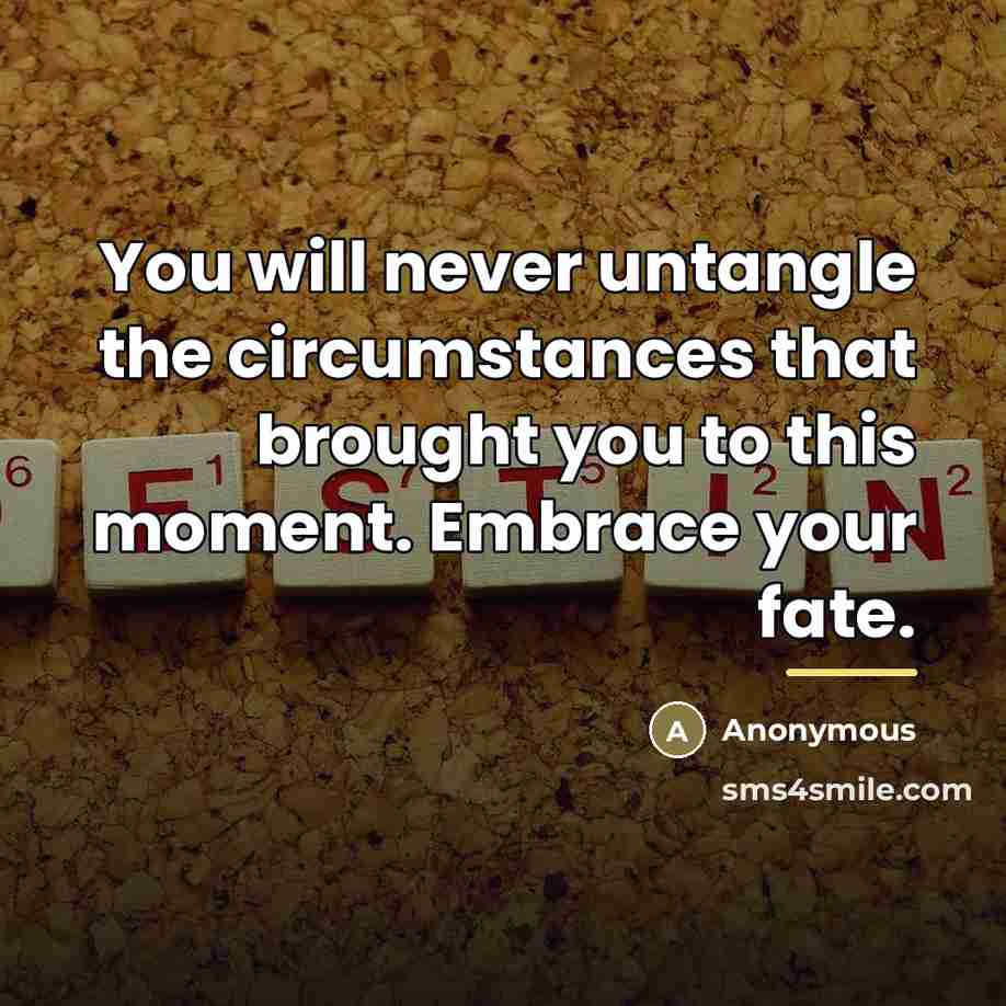 “You will never untangle the circumstances that brought you to…” quote by Anonymous