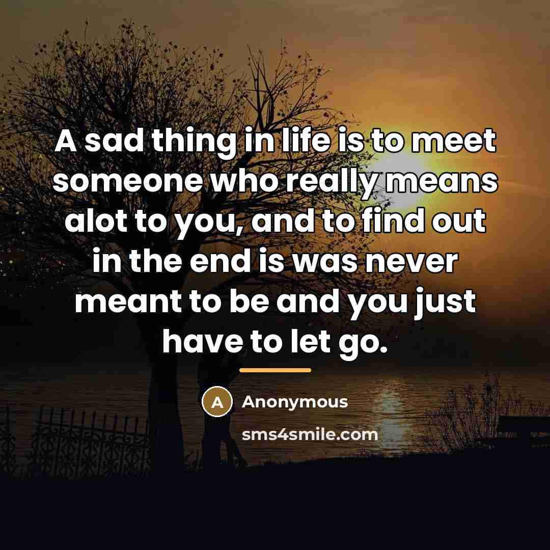 “A sad thing in life is to meet someone who…” quote by Anonymous