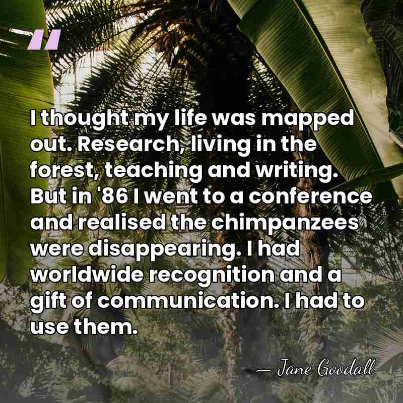 I thought my life was mapped out. Research, living in the forest,&hellip; - Jane Goodall
