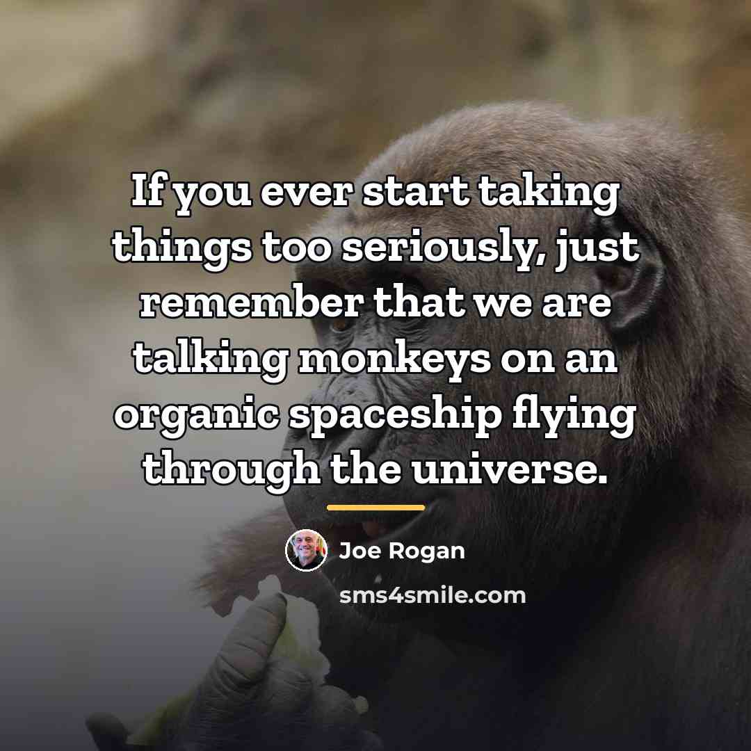 “If you ever start taking things too seriously, just remember…” quote by Joe Rogan